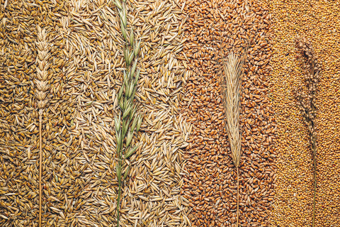 grain free diet- pros and cons
