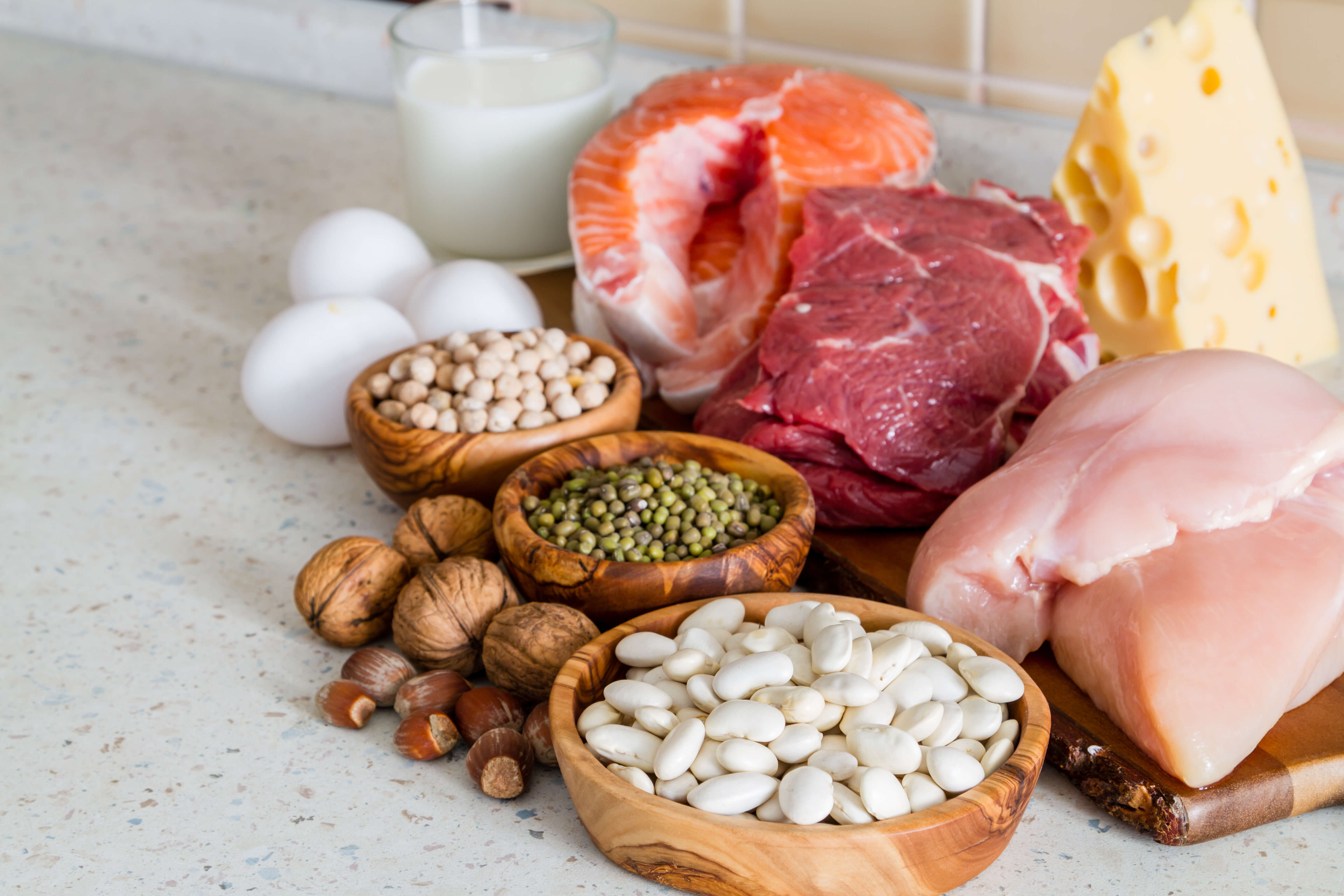 Unique Sources of Protein