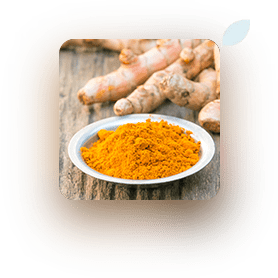 turmeric