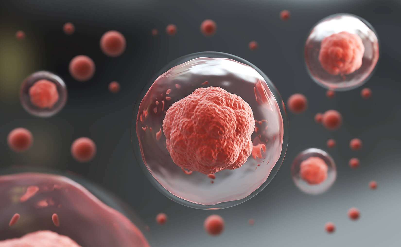 Can Damaged Cells be Repaired | PhytAge Laboratories – Phytage Labs
