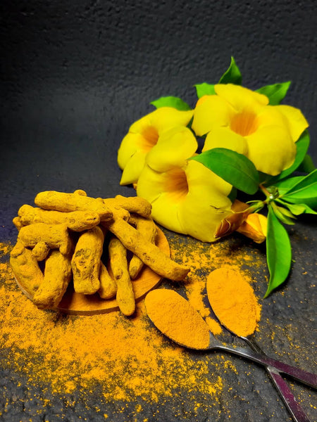 Golden Spice, Golden Health: Unveiling the Medicinal Marvels of Turmeric