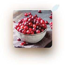 cranberry juice powder