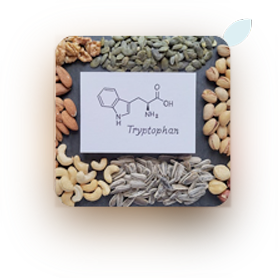 l-tryptophan