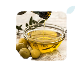 olive oil leaf extract